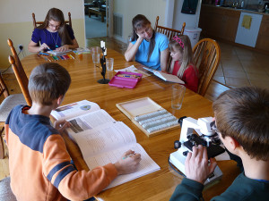 (RNS1-apr23) The Romeike family studies around a table at home. For use with RNS-HOME-SCHOOl, transmitted on April 23, 2013, Photo courtesy Homeschool Legal Defense Association.