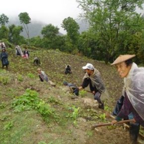 Butan-Cero-fertilizantes.-Sera-el-primer-pais-del-mundo-en-permitir-solo-la-agricultura-ecologica_large