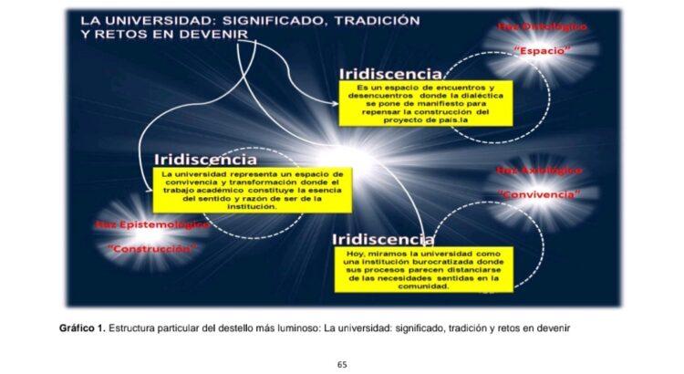 VISION FORMATIVA GERENCIAL Y RESPONSABILIDAD SOCIAL SUSTENTADA EN ECOAXIOLOGÍA: SIGNIFICANTE DEL DOCENTE UNIVERSITARIO UNERGISTA